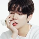 렌도