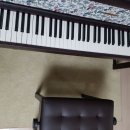 다이나톤 DPR-5160 디지털 피아노 후기 공유 이미지