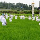 세동마을 이미지