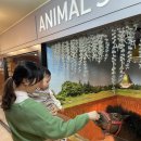 내서읍1320 이미지