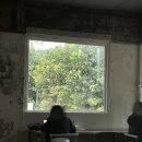 프로토콜(protokoll) 이미지