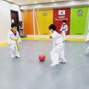 국가대표태인태권도장 이미지