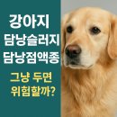 지성동물병원 이미지