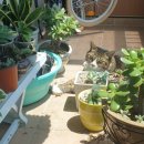 끼룩 스튜디오 이미지