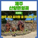 알프스얼음보석궁전 | 제주도 가볼만한곳 산양큰엉곶 아이, 강아지랑 갈만한곳 추천