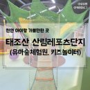 영광군 산림공원과 앞 | 천안 아이랑 가볼만한 곳, 태조산공원 산림레포츠단지 키즈 숲놀이터 방문 후기(다자녀, 셔틀, 가격)