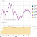 [펀드분석]한국골드적립식삼성그룹주식 1(C) 이미지