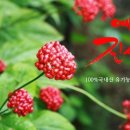 오두리 농장 이미지