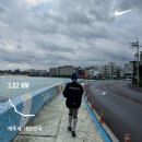 고찌글라 | 제주 스테이고찌글라 |에어비앤비숙소|함덕해변 주변|야외자쿠지|감성숙소|제주동쪽