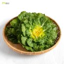 주식회사 알토란