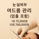 눈설피부