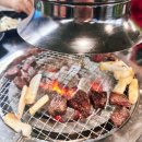 정직한갈비 | [대전 부사동 맛집] 입에서 살살 녹는 소고기, '정직한하누' 지인 모임 후기