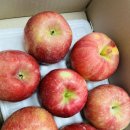 으니농장 이미지