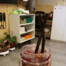 라즈쿠쿠 이미지