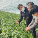 광활농협 이미지