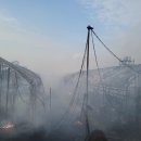 양계장.김포 국제뉴스