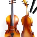 바이올린 이미지