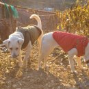 고센농장 이미지