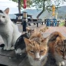 별찌펜션 이미지