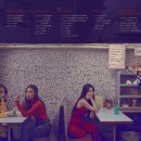 윈드플라워 이미지