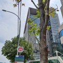 양재역11번출구 이미지