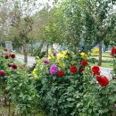 준 농장 이미지