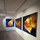 별밤미술관 in 수완 | 별밤미술관 in수완ㅣ박태규,생명 평화 불꽃전시 후기