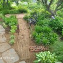 사등농장 이미지