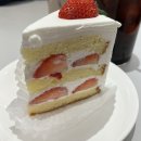 중랑역 애견동반 카페 :: 디 오리진 The origin