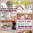 미듬사무기 Daum카페