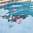 강릉제일오토 | 강릉 세인트존스호텔 아이랑 여행 강문해변 근처 숙소 파인풀 버블