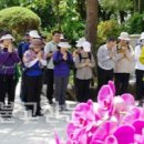 남중동-71 이미지