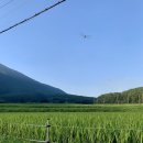 카페지산리 | 양산 지산리 소개