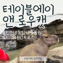 현대 강아지＆고양이 | 인천 송도 이색 실내데이트 코스 추천 인천동물원+고양이카페 ’테이블에이 앤 로우캣‘ 후기