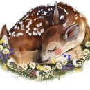 부성태권도장 이미지