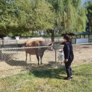 오례농장 이미지