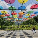 장미원 (산림욕장) 이미지