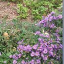 진해노인종합복지관 이미지