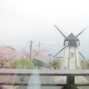 팜트리펜션 이미지