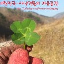 [한.사.자] 휴면회원 등급조정 실시합니다 (년 2회) 이미지