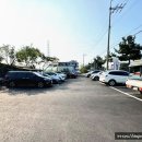 삼색웰빙칼국수 이미지