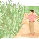 경성과학 이미지