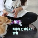 놀자 - 제주시 중산간서로 5136-1 | 놀자