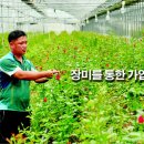 박종성농장 이미지