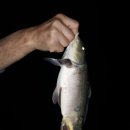 중리테마파크 이미지