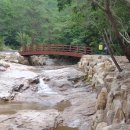 제206차 전북진안 금산 성치산(670m)성봉(648m)연개및계곡산행안내 이미지