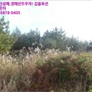 표선면 다목적회관 이미지