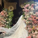 시종시장 | [한달일기] 2026년 2월