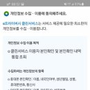 클린사이트