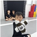 TL태권도 이미지